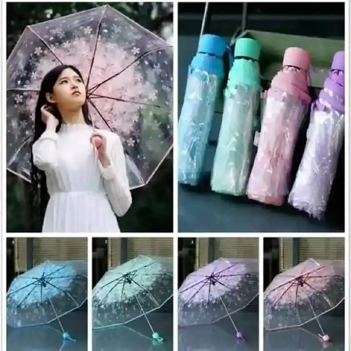 Transparent Umbrella
