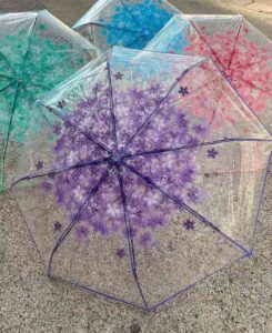 Transparent Umbrella - Image 4